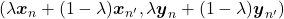 (\lambda \boldsymbol{x}_n + (1 - \lambda) \boldsymbol{x}_{n'},  \lambda \boldsymbol{y}_n + (1 - \lambda) \boldsymbol{y}_{n'})