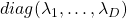 diag(\lambda_1, \dots, \lambda_D)