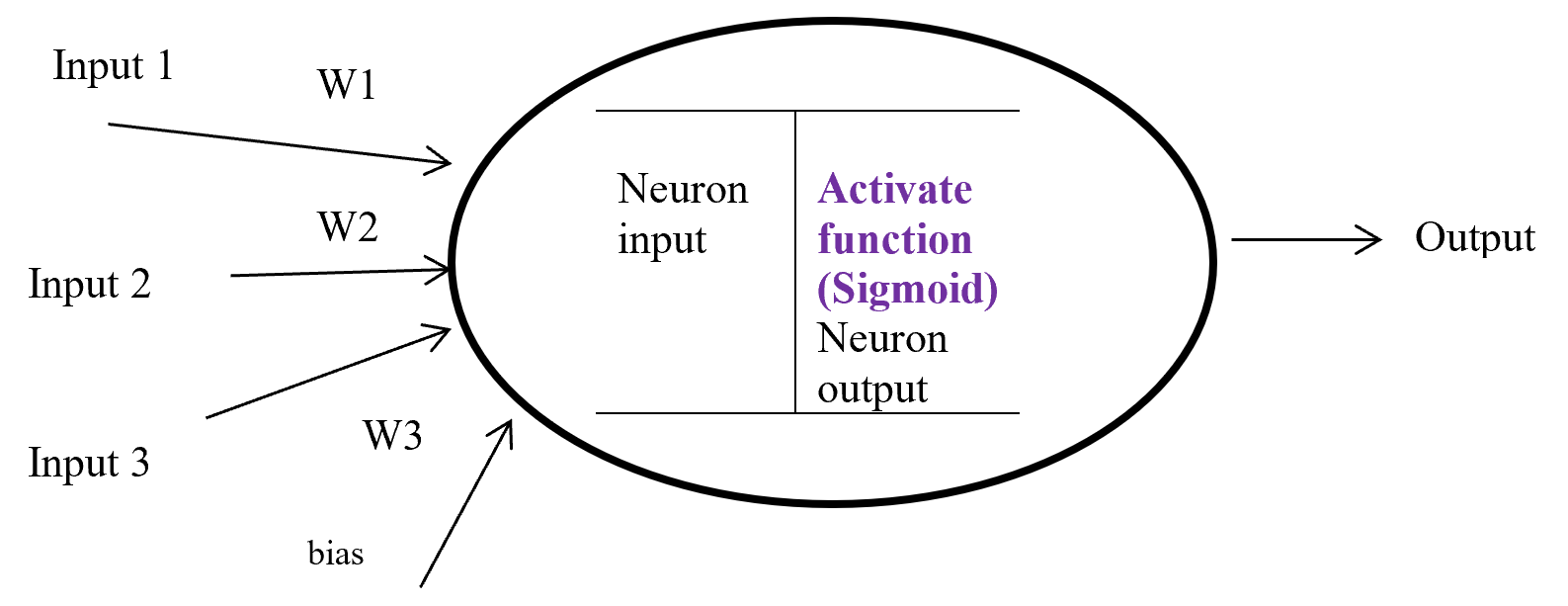 Activation Function